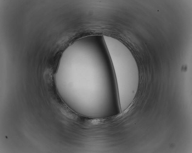 X0000090980184200708021149