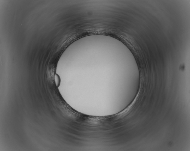 X0000090980190200708021149