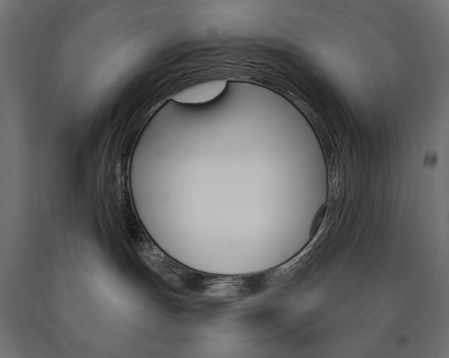 X0000090980191200708021149