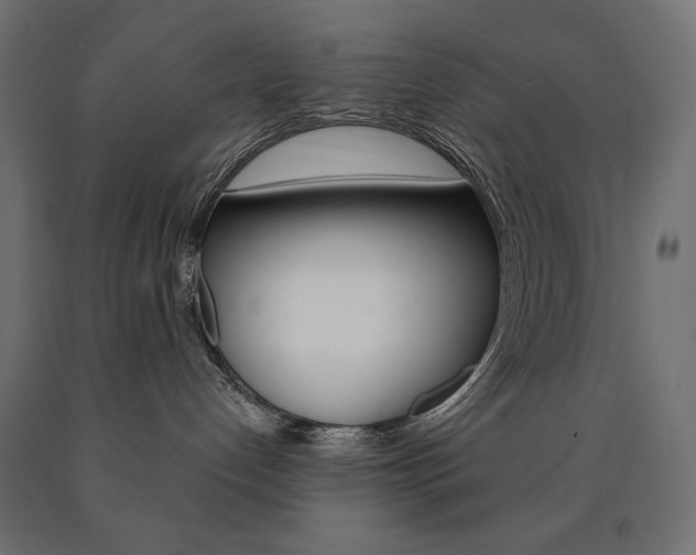 X0000090980192200708021149