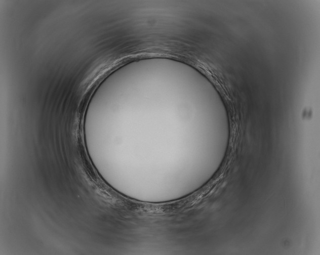 X0000090980194200708021148