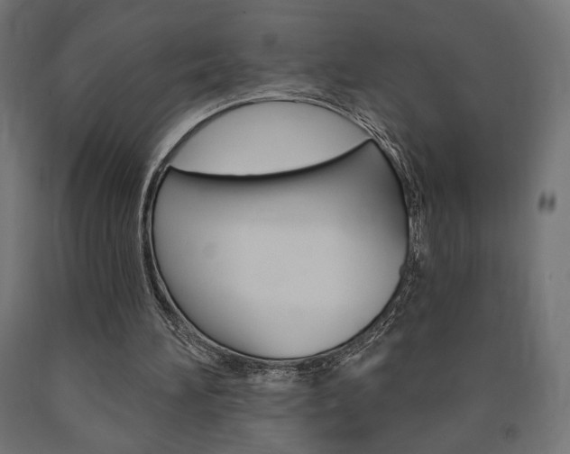 X0000090980196200708021148