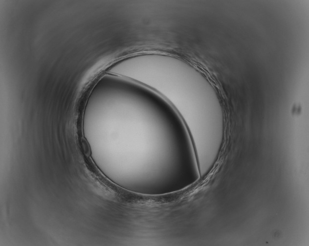 X0000090980197200708021148