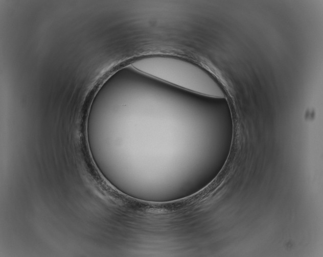 X0000090980203200708021148