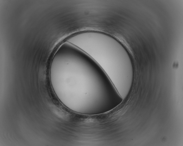 X0000090980204200708021148
