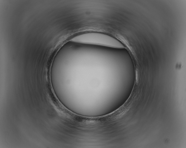 X0000090980205200708021148