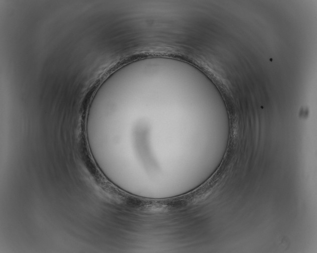 X0000090980206200708021148