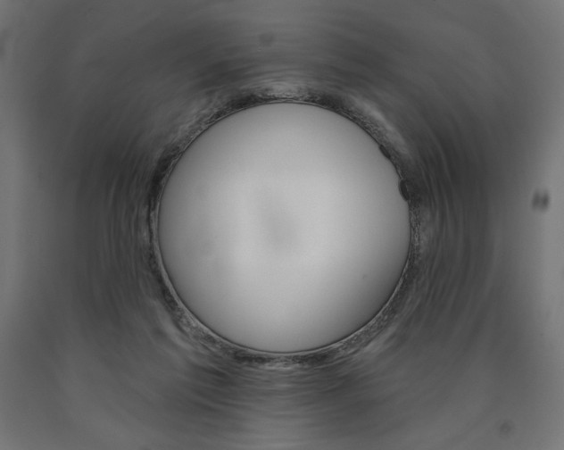X0000090980213200708021148