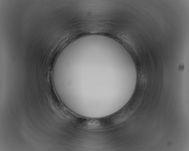 X0000090980214200708021148