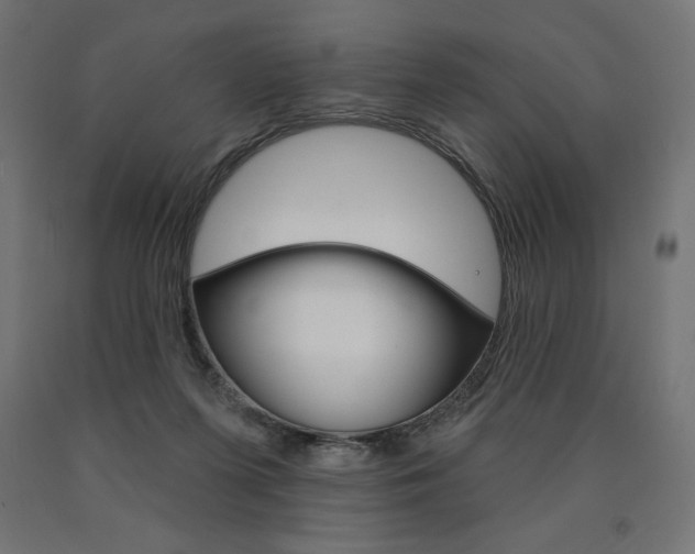 X0000090980215200708021148