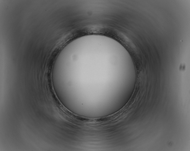 X0000090980217200708021148