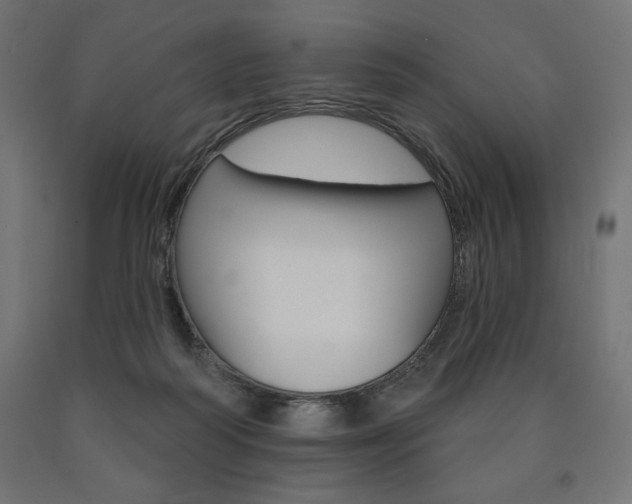 X0000090980218200708021148