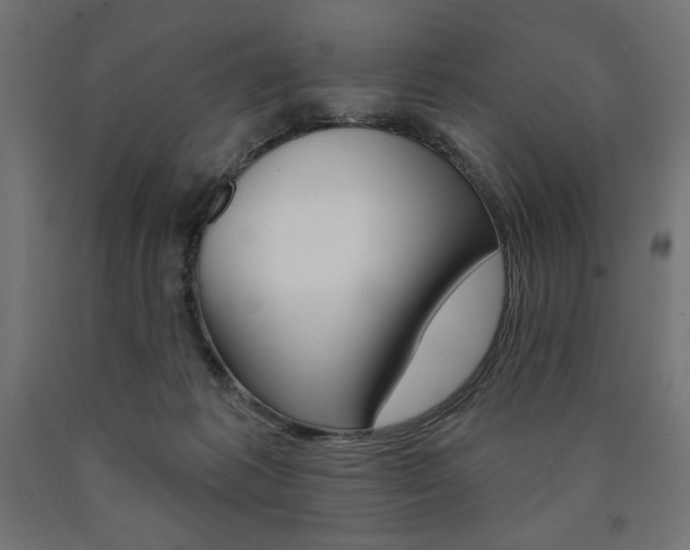 X0000090980221200708021148
