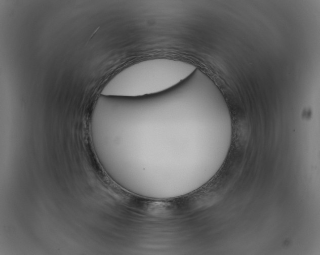 X0000090980222200708021148