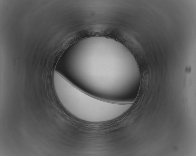 X0000090980225200708021148