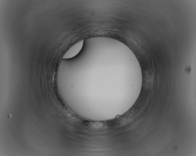 X0000090980230200708021148