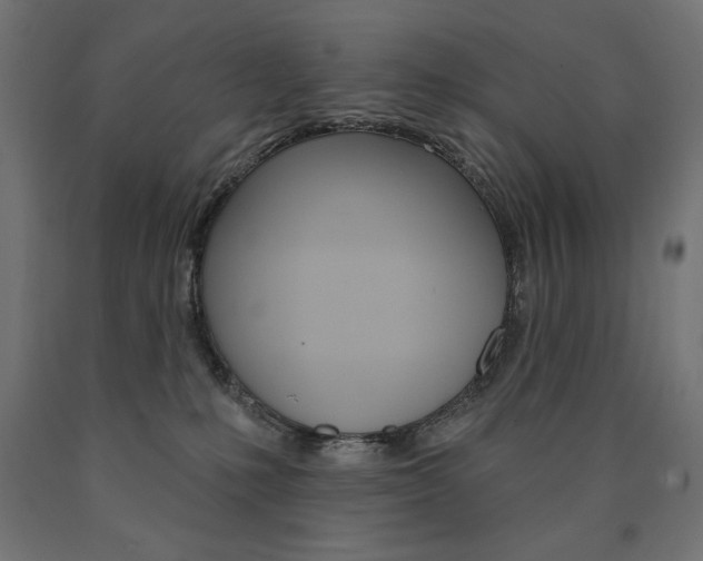 X0000090980231200708021148