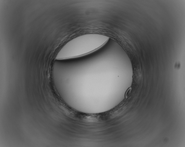 X0000090980232200708021148