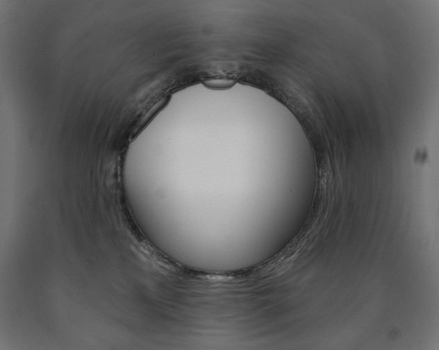 X0000090980233200708021148
