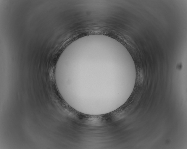 X0000090980236200708021148