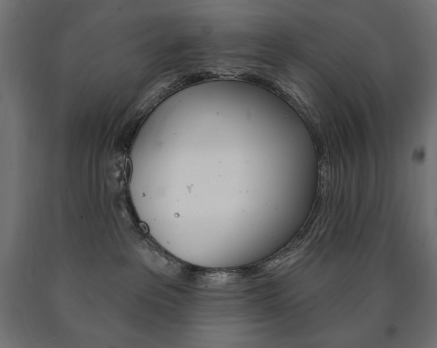 X0000090980237200708021148