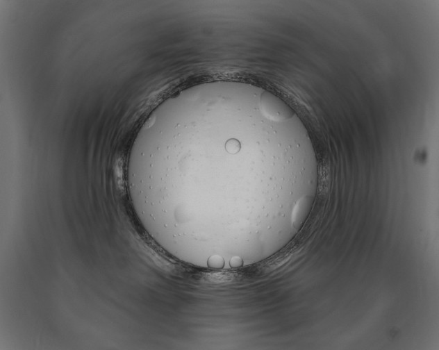 X0000090980238200708021148