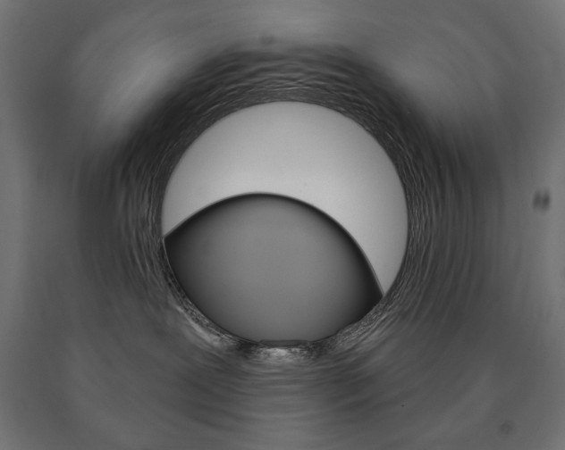 X0000090980239200708021148
