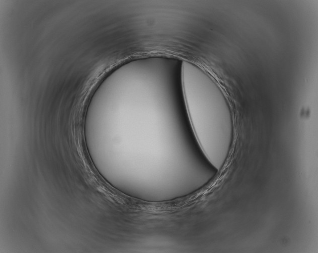 X0000090980241200708021147