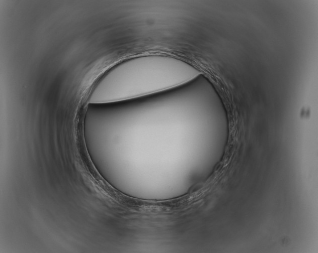 X0000090980242200708021147