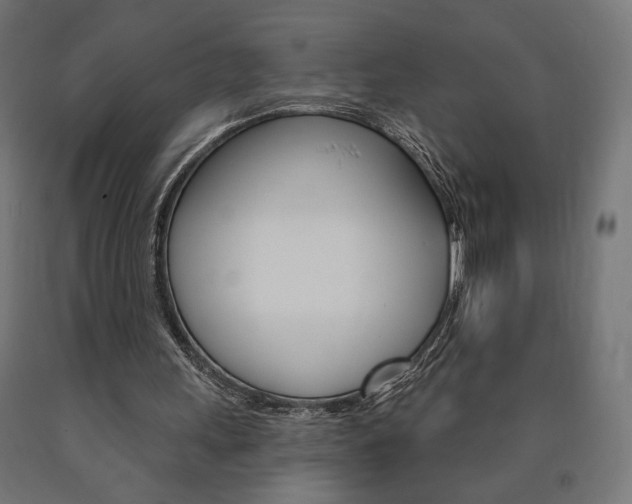X0000090980243200708021147