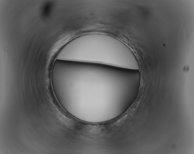 X0000090980245200708021147
