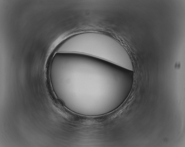 X0000090980246200708021147