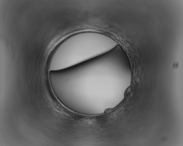 X0000090980247200708021147