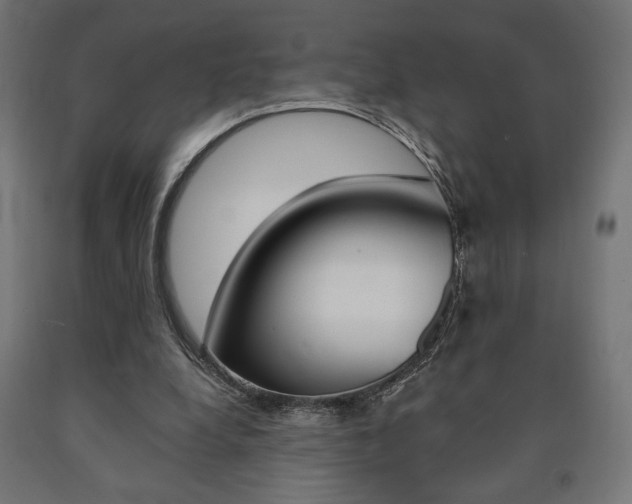 X0000090980248200708021147