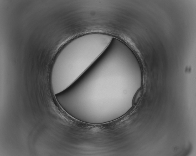 X0000090980249200708021147