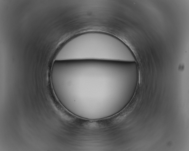 X0000090980253200708021147