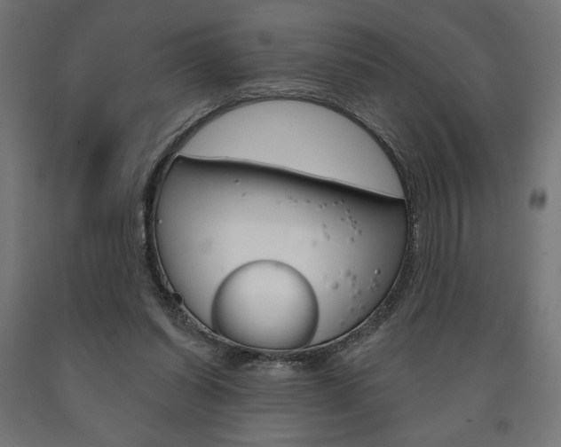 X0000090980254200708021147