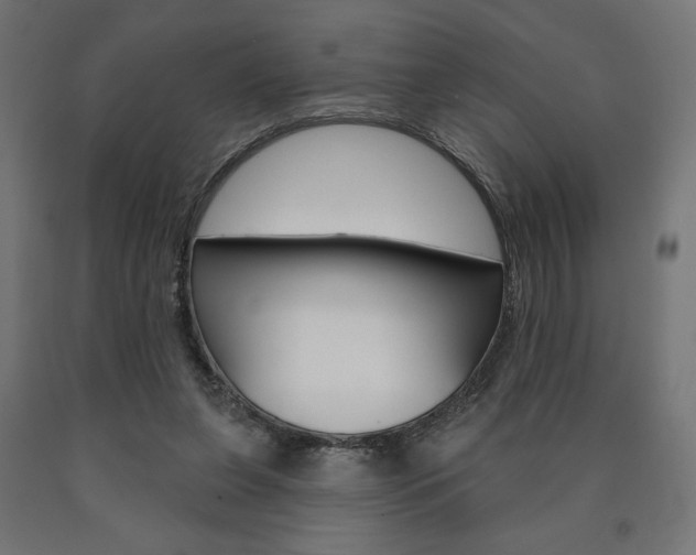 X0000090980255200708021147