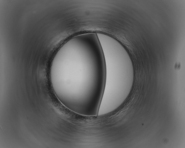 X0000090980256200708021147