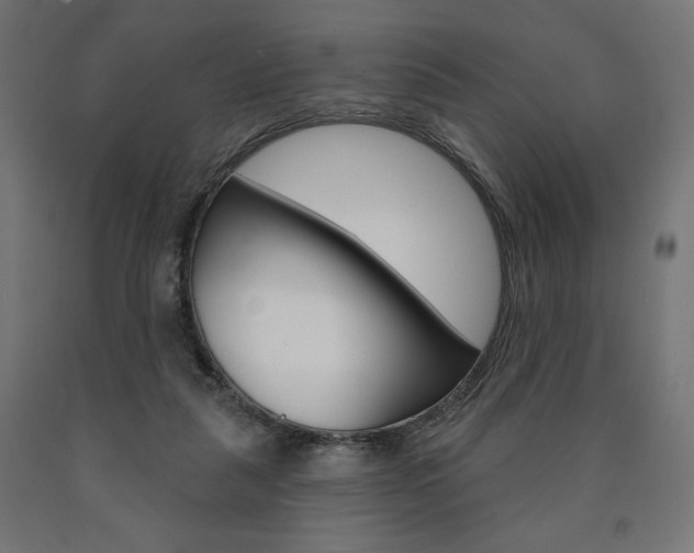 X0000090980259200708021147