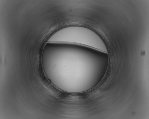 X0000090980260200708021147