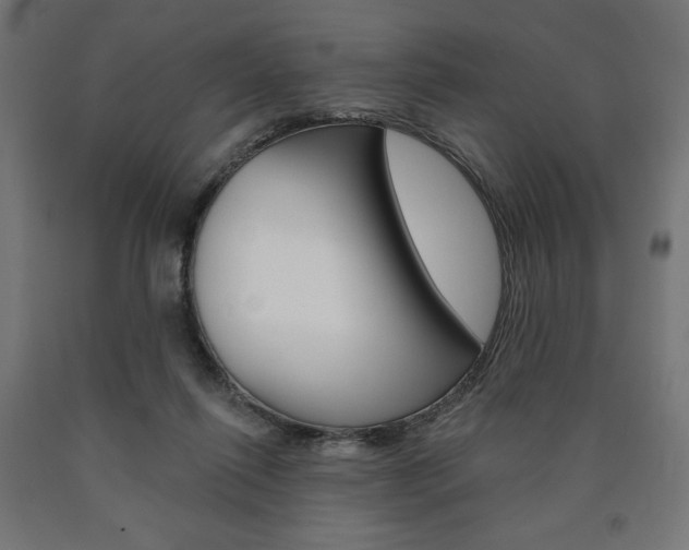 X0000090980262200708021147