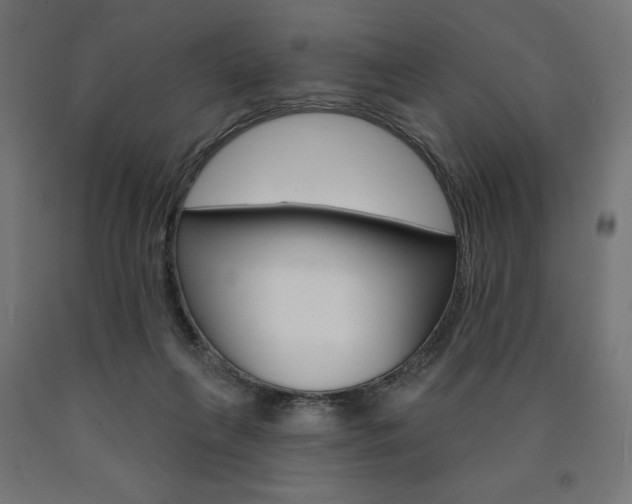 X0000090980263200708021147