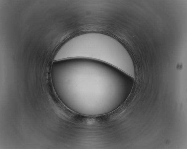 X0000090980264200708021147