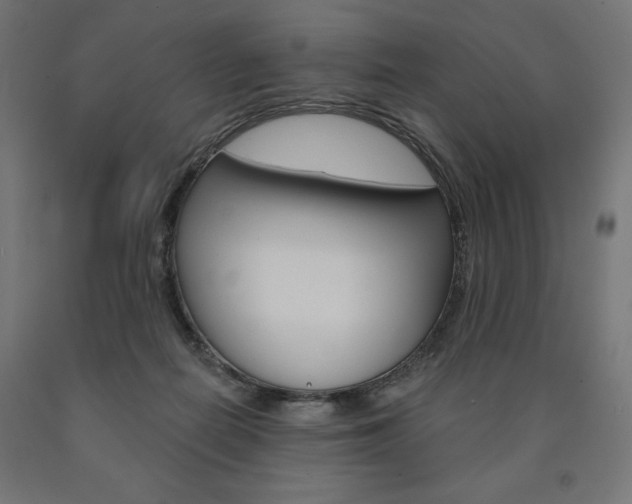 X0000090980266200708021147