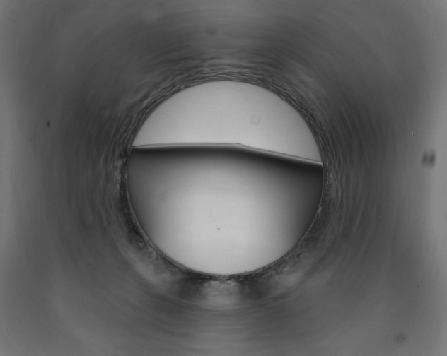 X0000090980271200708021147