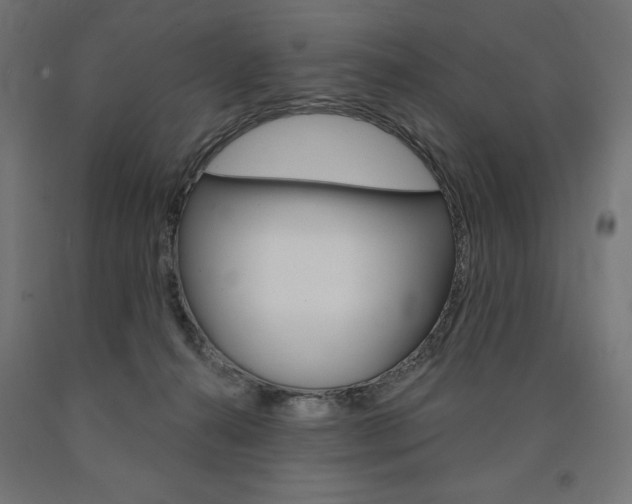 X0000090980272200708021147