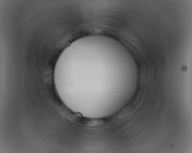 X0000090980274200708021147