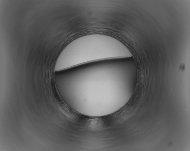 X0000090980275200708021147