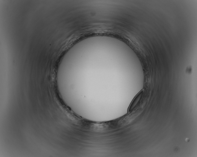 X0000090980277200708021147